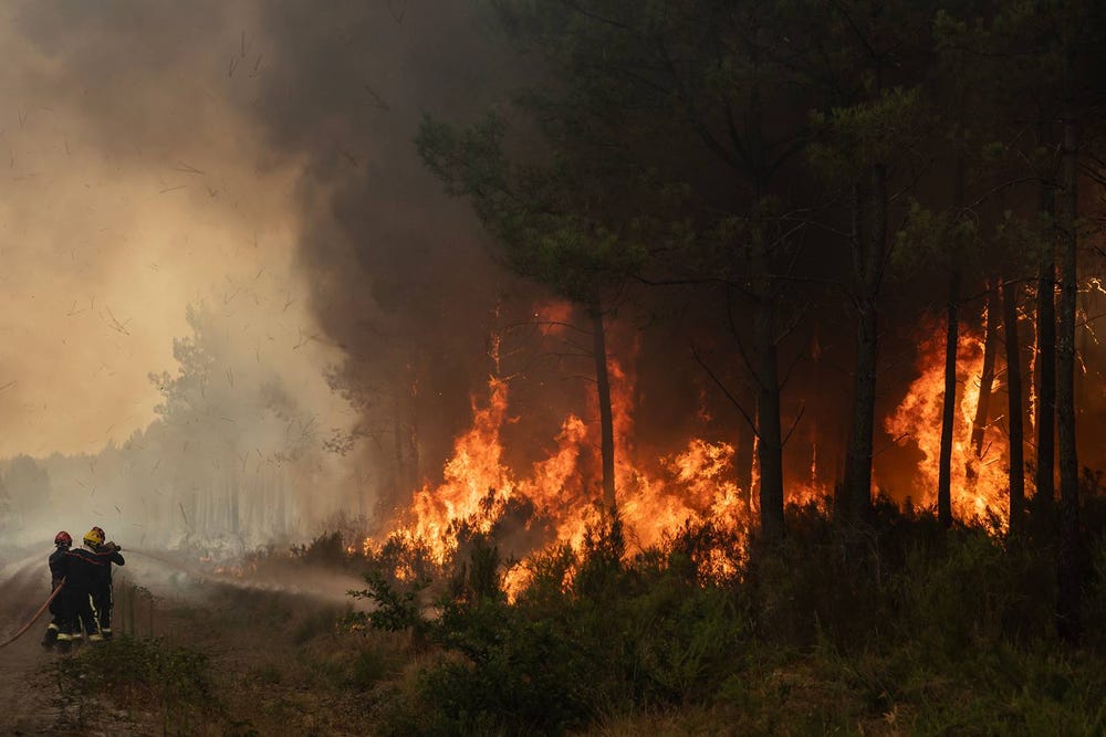 Skogsbränder i sydvästra Frankrike: 110 000 evakuerade och kris nära Bordeaux
