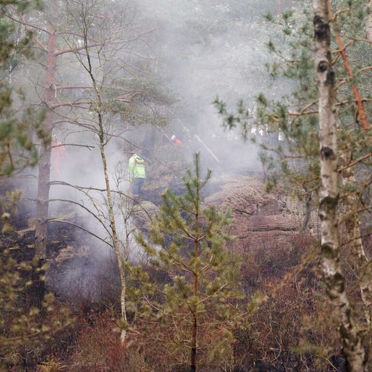 SMHI varnar: Stor brandrisk i stora delar av södra Sverige